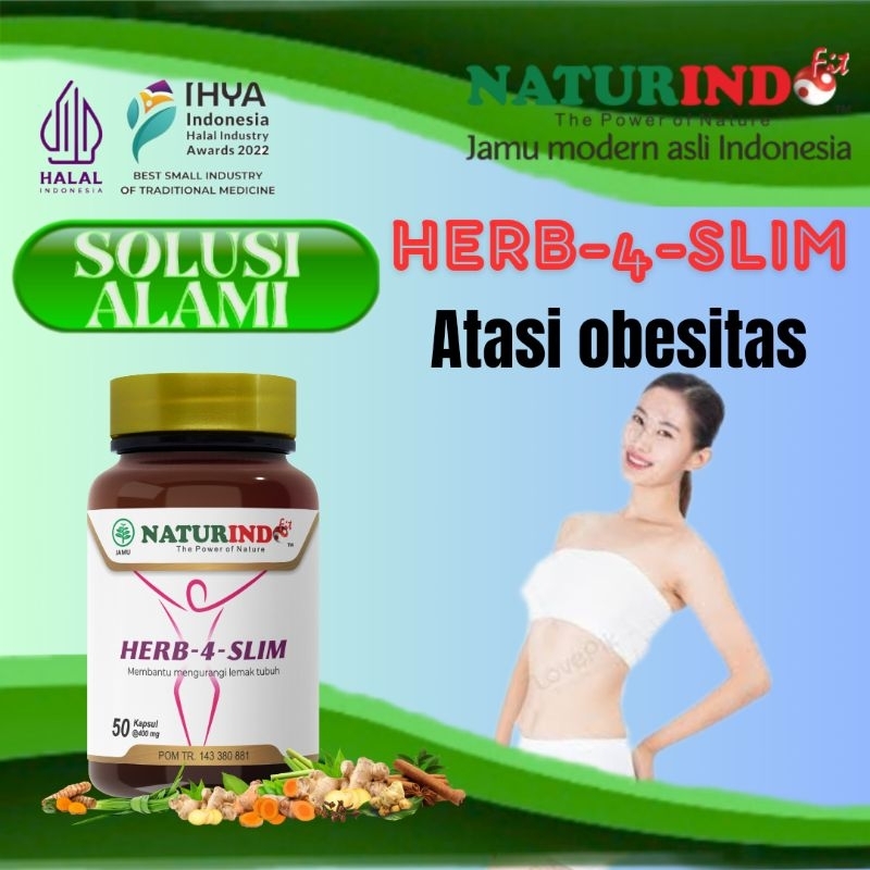 Obat Diet Pelangsing Badan Pelangsing Perut Buncit Pria Dan Wanita HERB-4-SLIM Naturindo