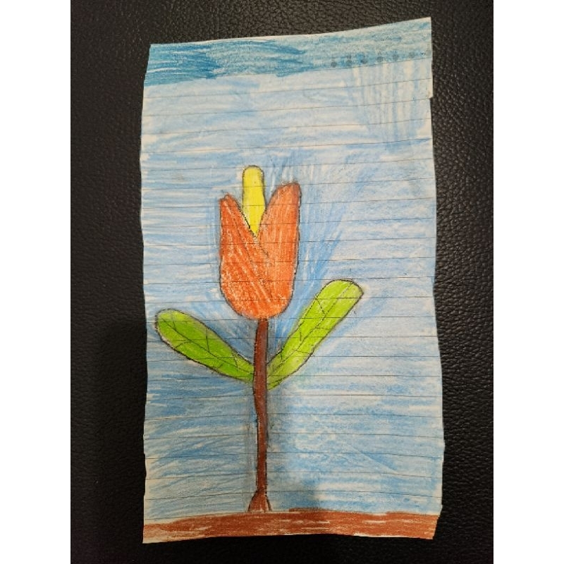 

Gambar Bunga Tulip