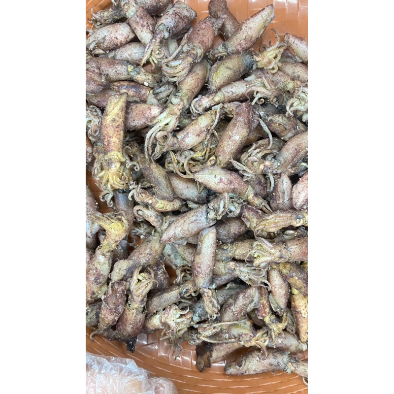 

Sotong 100gr-250gr