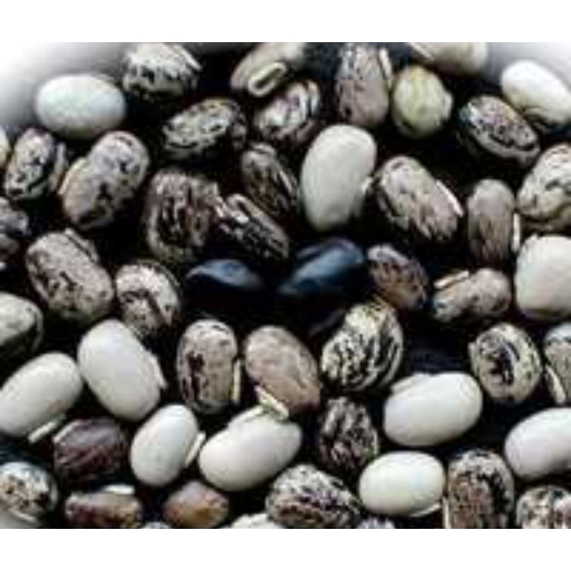 

Kacang benguk bijian utuh Wonogiri 1 kg