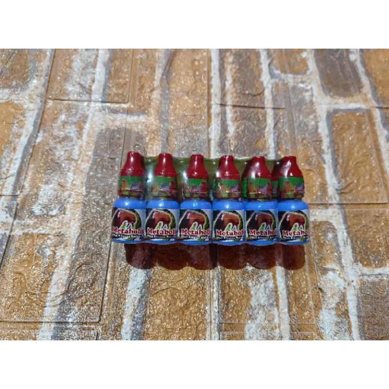 METABOLIS OBAT PENGGACOR BURUNG ASLI