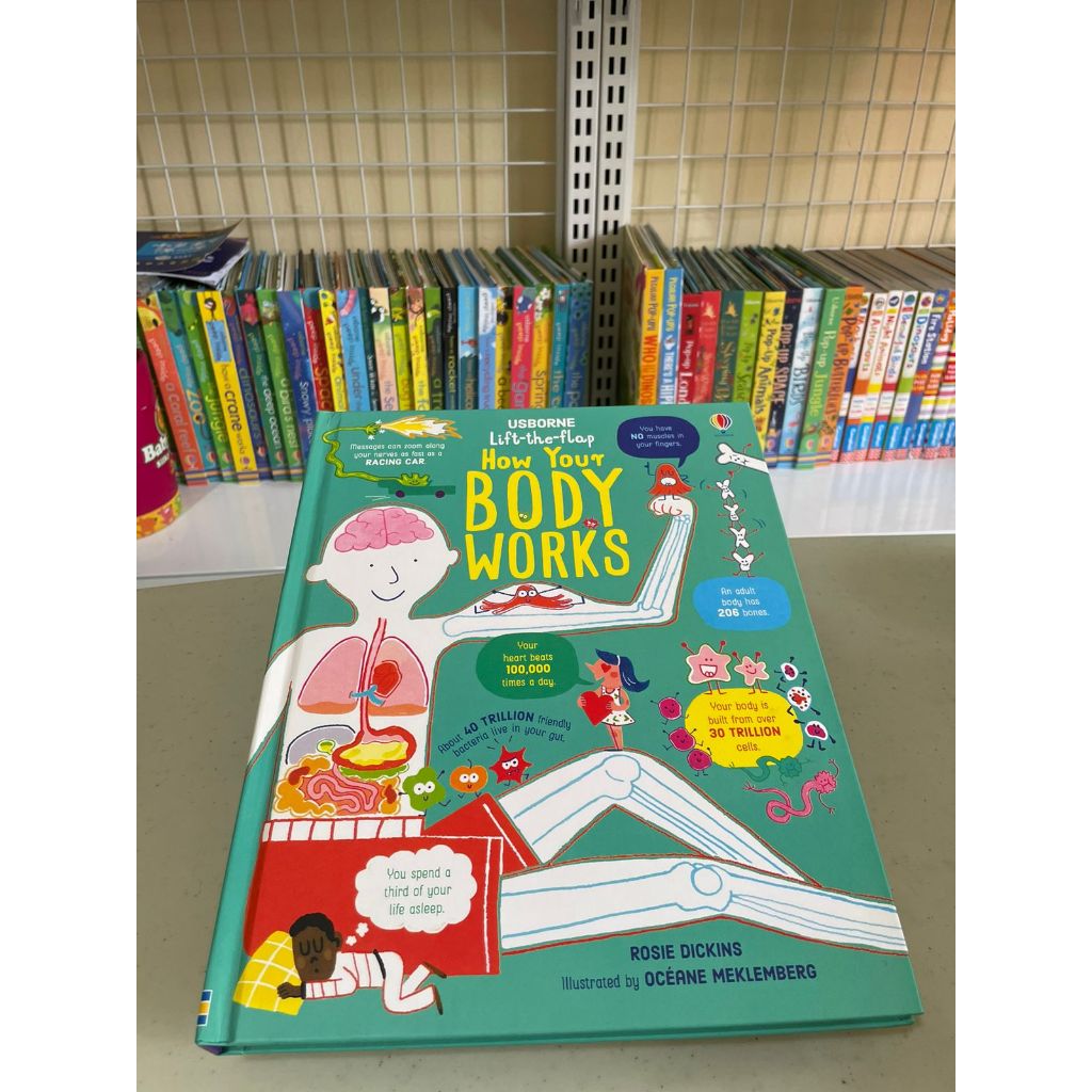 How Your Body Works - Flaps Board Book - Imported Education kids Book Children Buku Edukasi Anak imp