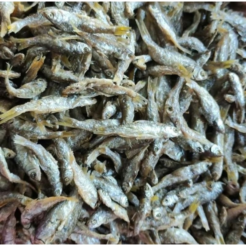 

ikan bilih goreng danau singkarak 250g