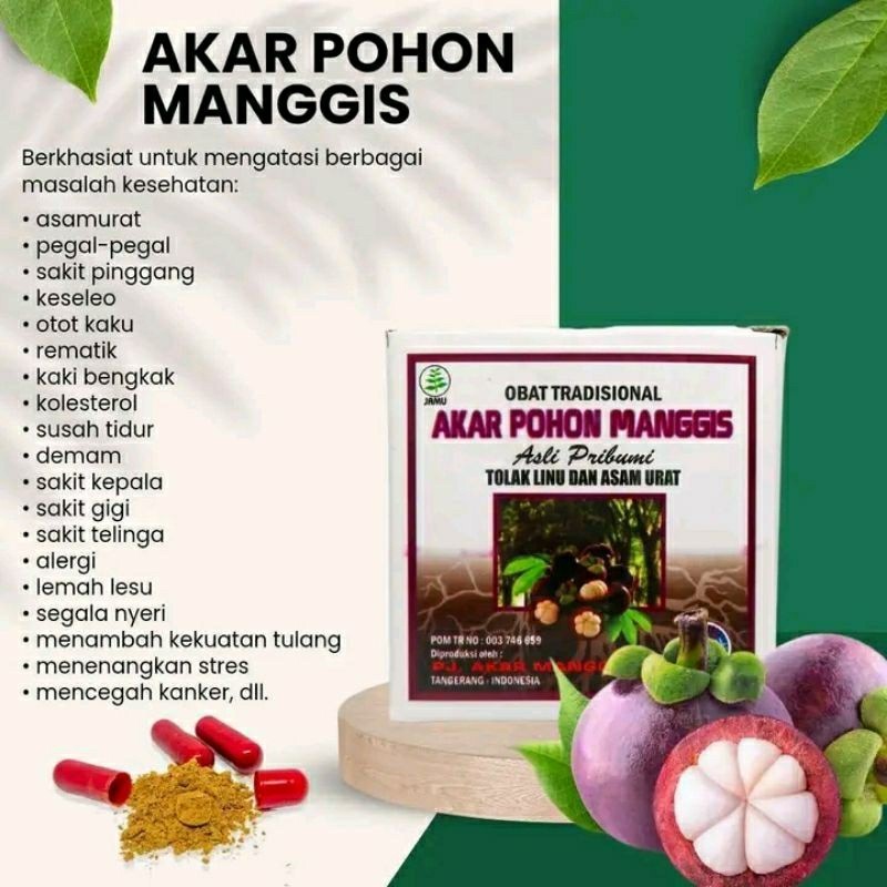 promo akar pohon manggis asli original herbal asam urat