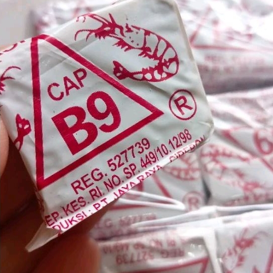 

terasi B9