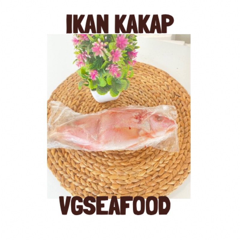 

Ikan Kakap 1/2kg