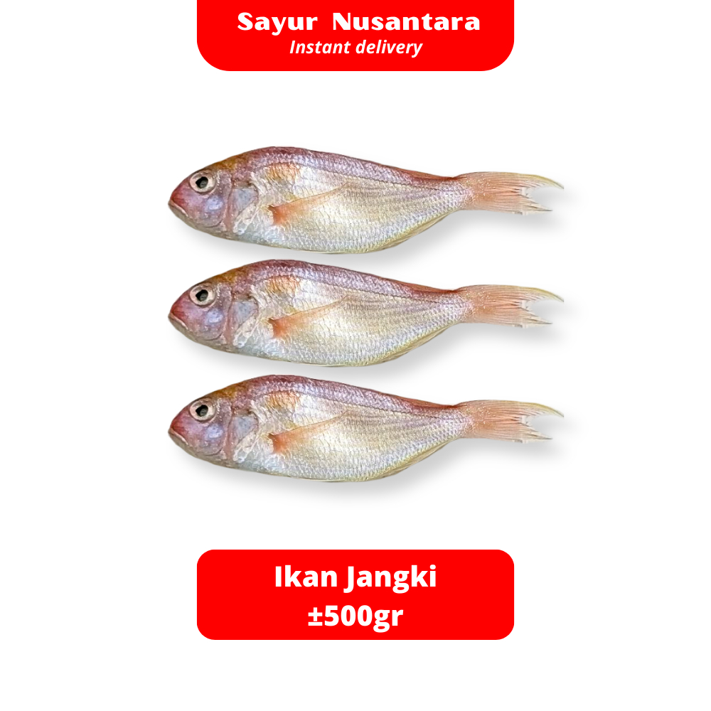 

Ikan Jangki Fresh Frozen -+500gr - Sayur Nusantara
