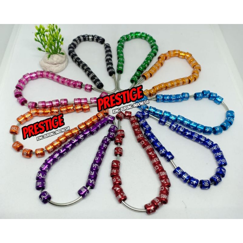 RING SAMPLE SEGALA JENIS BURUNG PERKUTUT,KENARI,PRENJAK,MURAI,ANIS MERAH,DERKUKU,PUTER PELUNG, MERPA