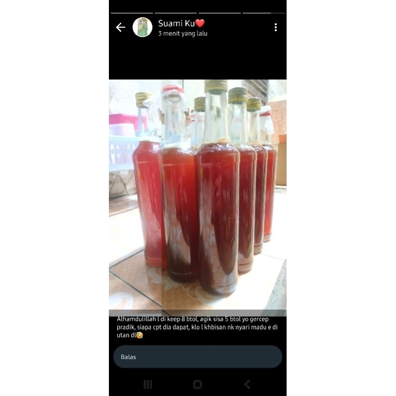 

Madu Hutan Asli Bangka Belitung