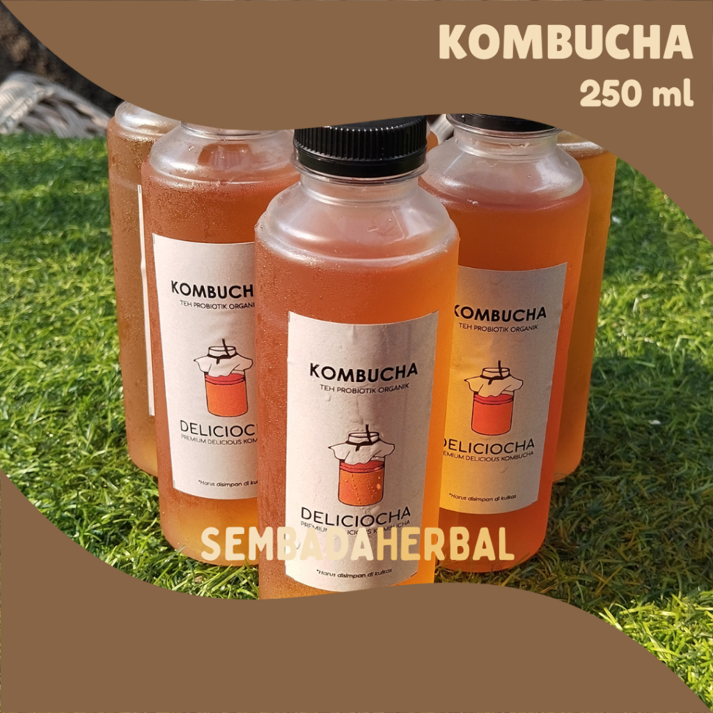 

Teh Kombucha / Kombucha Tea Teh Fermentasi "DELICIOCHA" - 250 ml