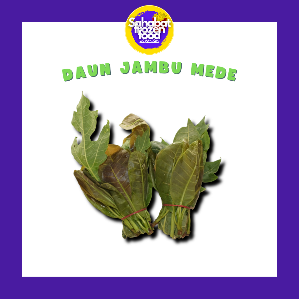 

Daun Jambu Mede 1 Ikat