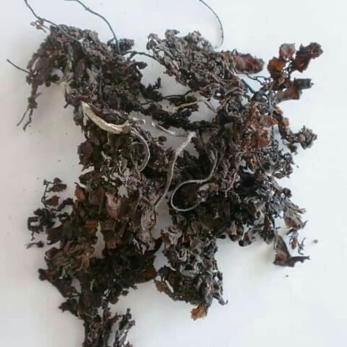 

Hai Zao 海藻/海带草 Seaweed Premium Grade 50 Gr