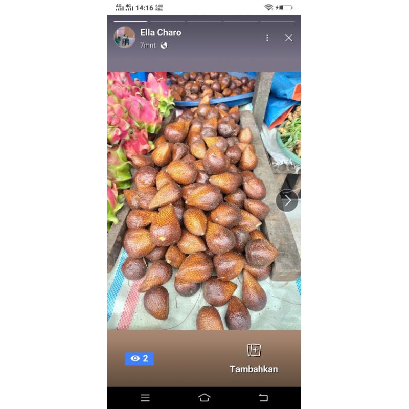 

salak pondoh | buah segar | khusus kota medan