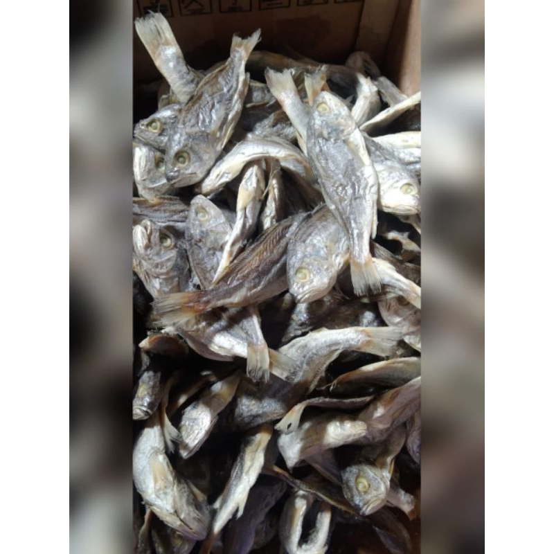 

ikan kepala batu 250gr