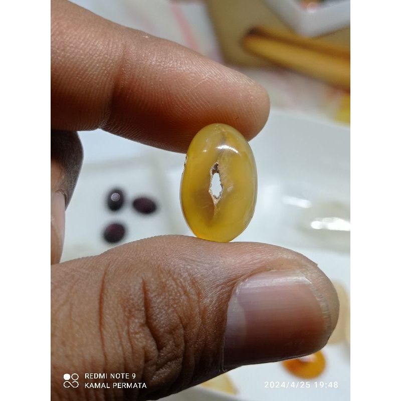 natural sunkis combong (cempaka kuning)