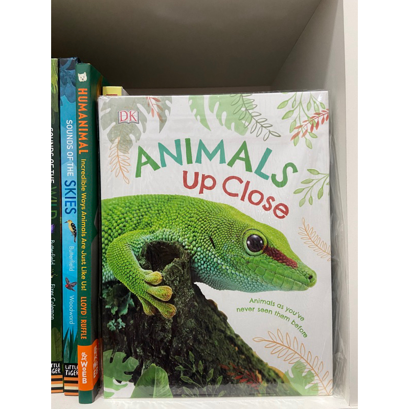 DK - Animals Up Close | Buku Anak Import Children Reference Book