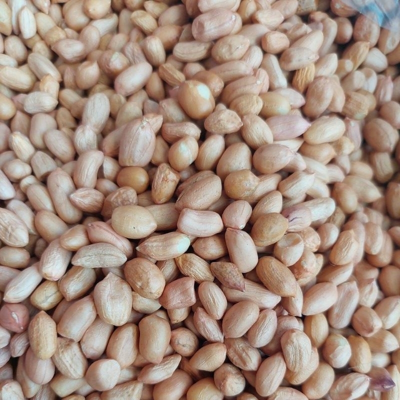 

✔️Murah lebay..Kacang tanah kemasan 500 gr