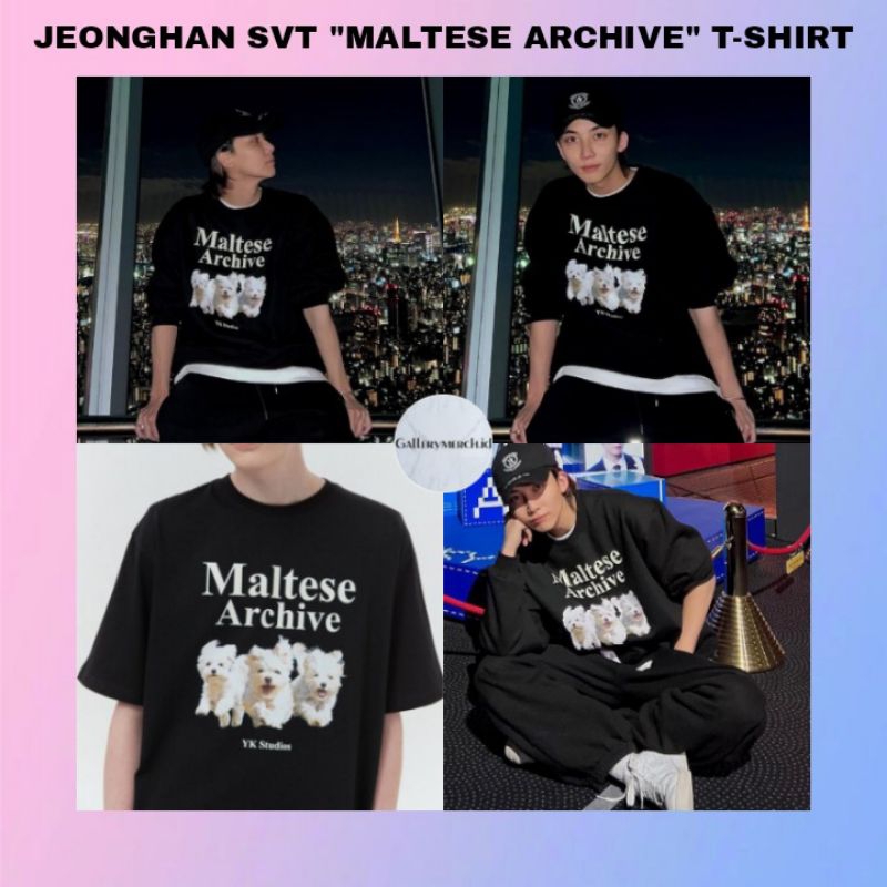 [READY STOCK] JEONGHAN SVT "MALTESE ARCHIVE" T-SHIRT