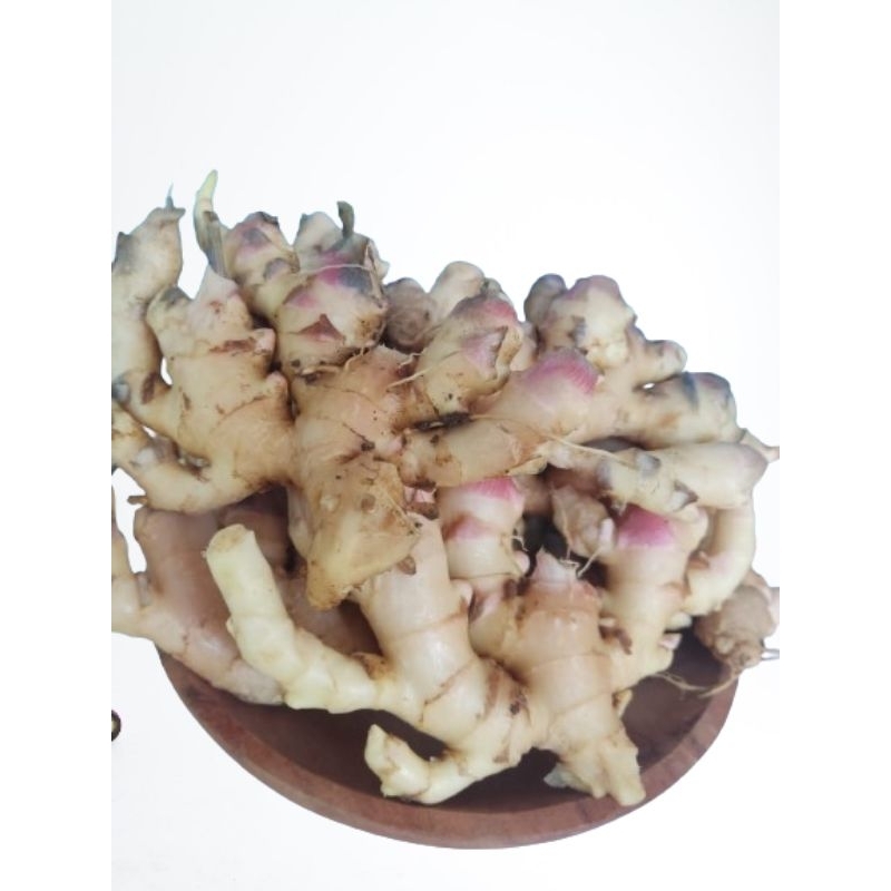 

jahe mprit/jahe paris fresh 1kg