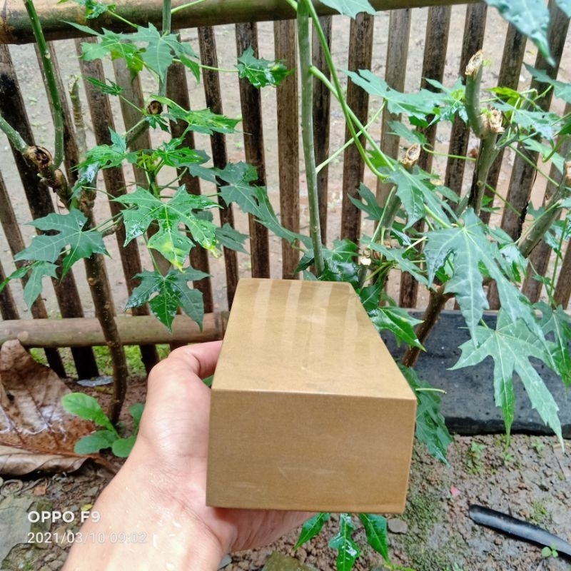 Batu Asah Golok sembelih jumbo super tajam ukuran 20x8x5 cm grit 4000