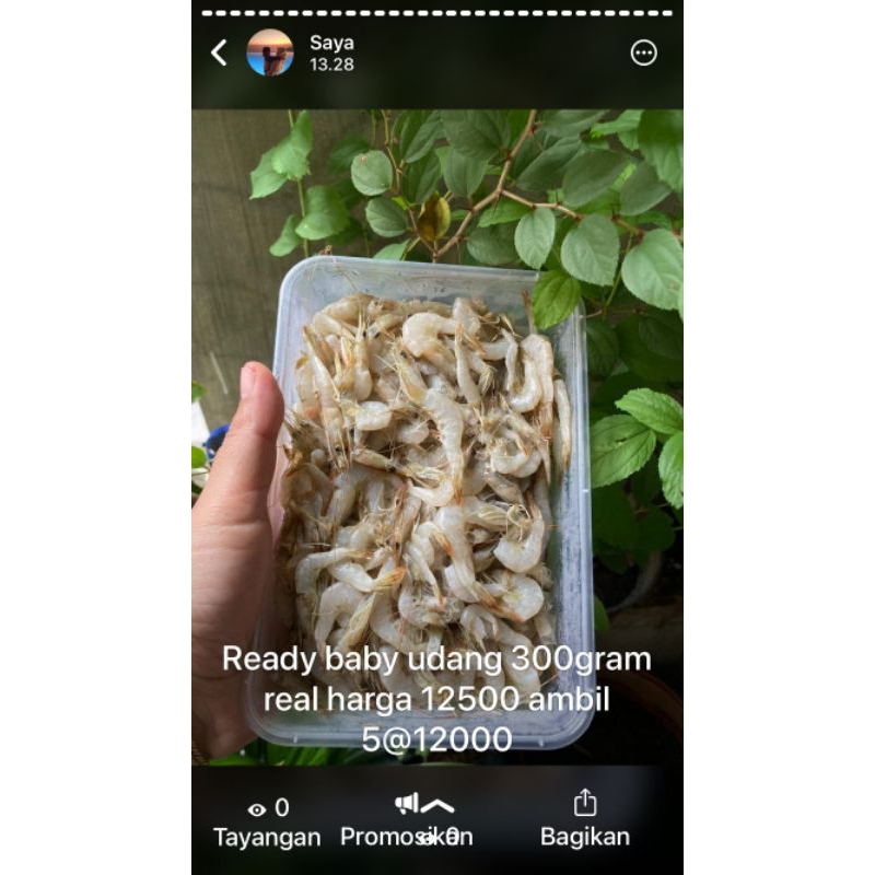 

udang vanami berat 200gram