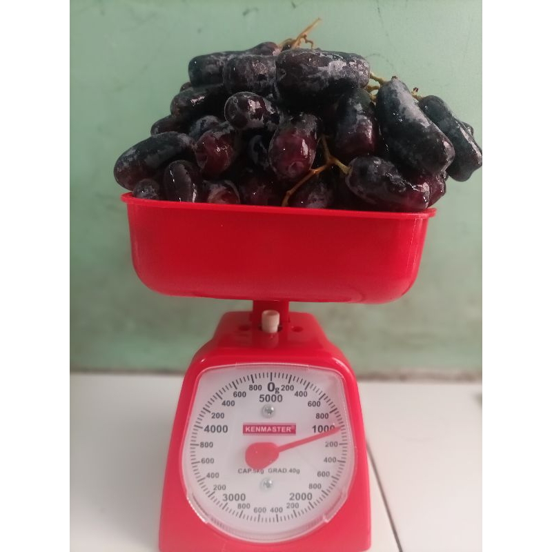 

Anggur jari /anggur mondrop