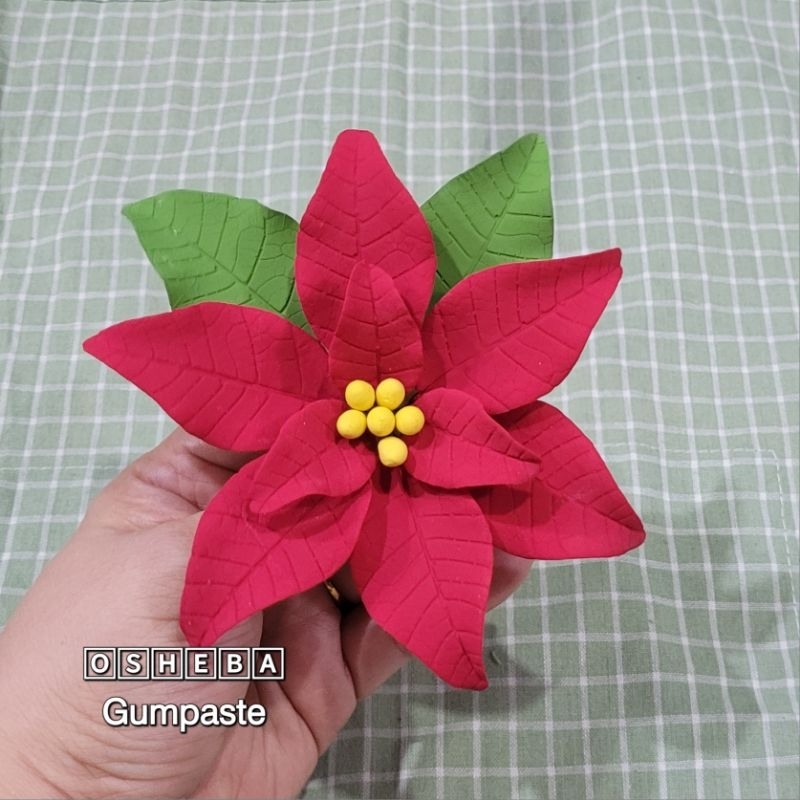 

[osheba] gumpaste bunga natal PT 12