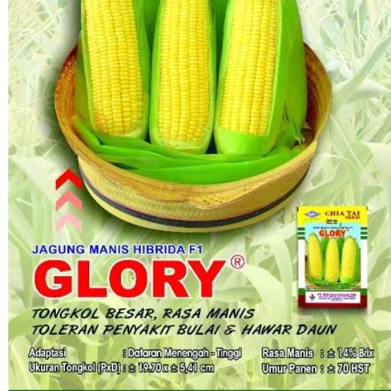 

Jagung Manis Glory 250gr