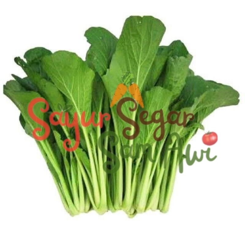 

SAWI HIJAU 1 IKAT | INSTANT MALANG | SAYUR SEGAR | SAYUR SEGAR SAM AWI