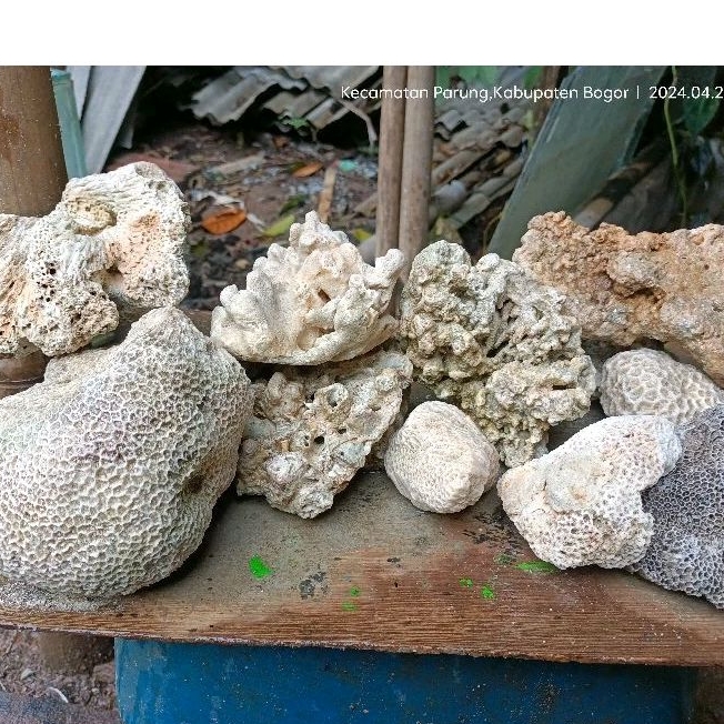 batu karang laut/deadrock aquascape 1kg