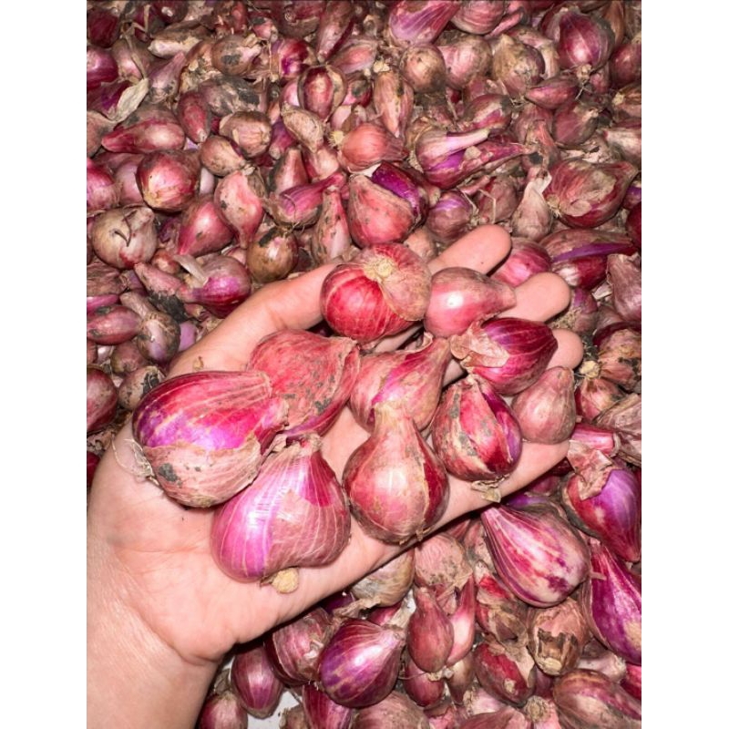 

Bawang Merah Premium 1kg