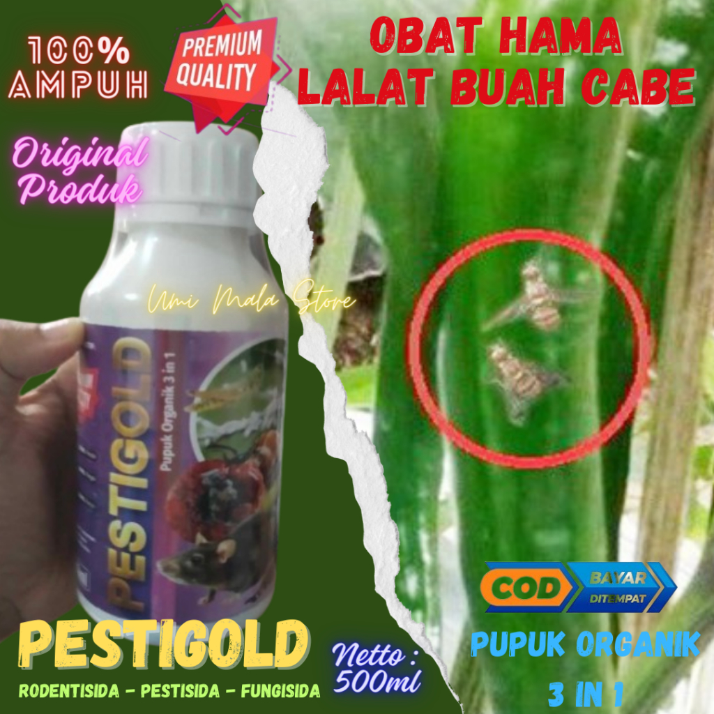 Obat Hama Lalat Buah Cabe Paling Ampuh PESTIGOLD Obat Semprot Alami Anti Lalat Buah Cabe Cabai Bagus