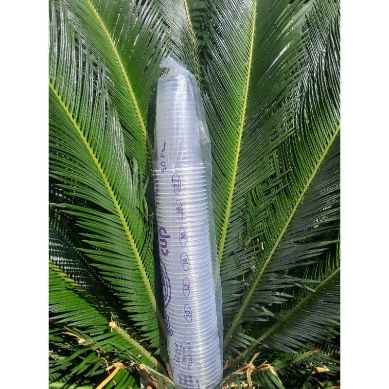 Gelas Cup Ukuran 22 oz (isi 50 pcs)