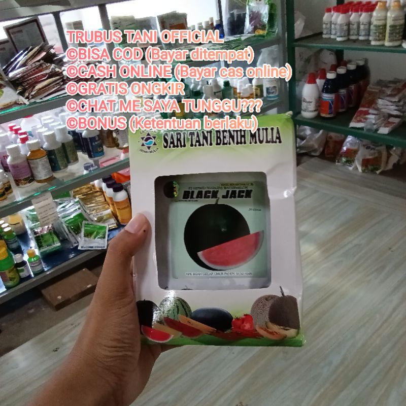 Benih Bibit Semangka Non Biji Black Jack F1, GRATIS ONGKIR, BONUS POTONGAN VOUCER BANYAK, MURAH BANG