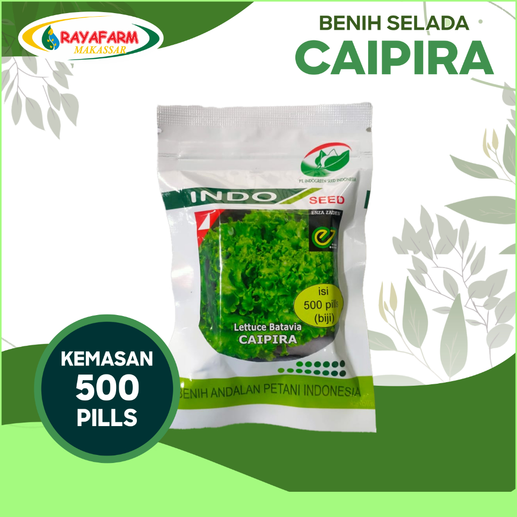 Benih Bibit Selada Caipira 500 Pills - Indo Seed