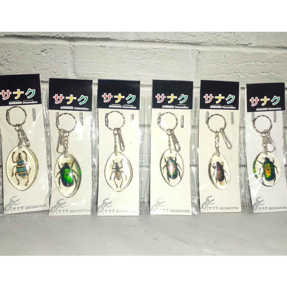 Gantungan Kunci Serangga Indonesia Resin Homemade / Souvenir Gantungan Kunci Rumah/Kantor (kemas pla