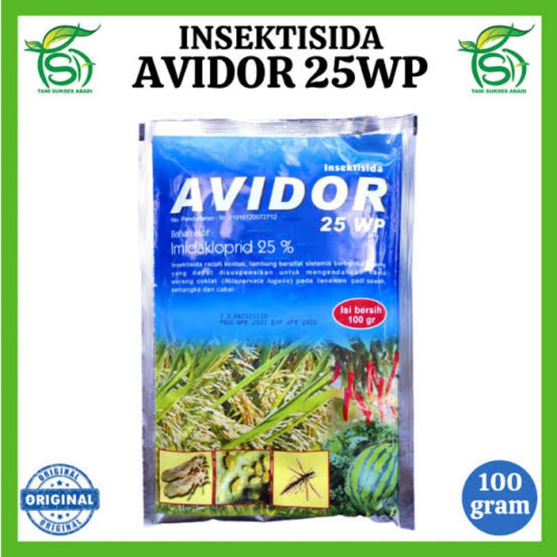avidor 25 wp