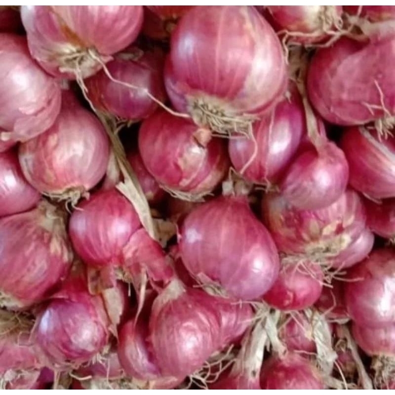 

BAWANG MERAH SUPER KERING 1.KG UK JUMBO BESAR