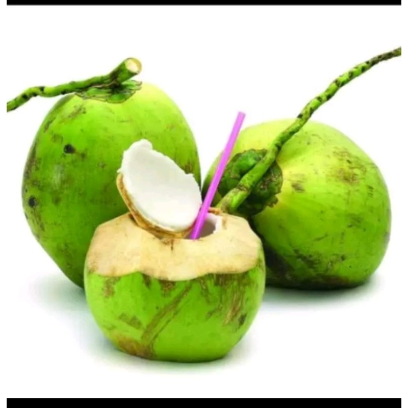 

kelapa muda / degan segar
