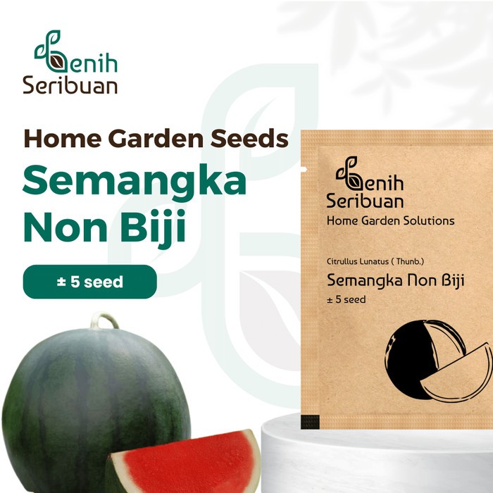 Bibit Buah Semangka Non Biji Merah F1 Hibrida
