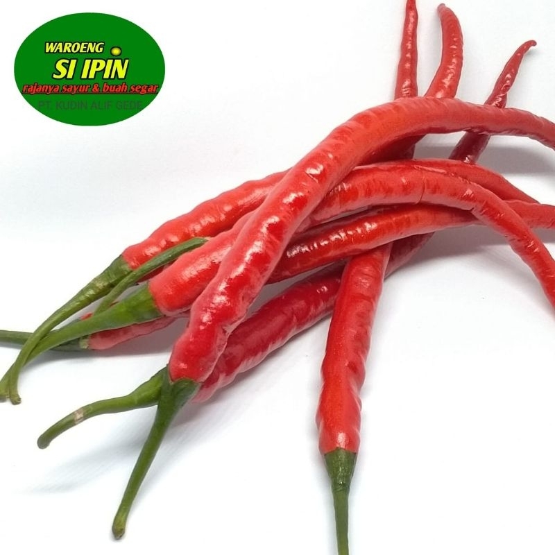 

cabe merah keriting