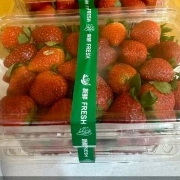 

Buah Stroberi Strawberry Fresh Premium Organik 1kg