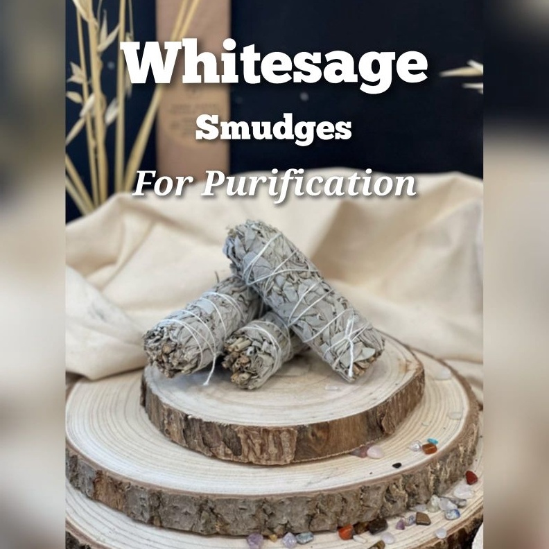 White Sage 911cm Harga Satuan ART H2N3