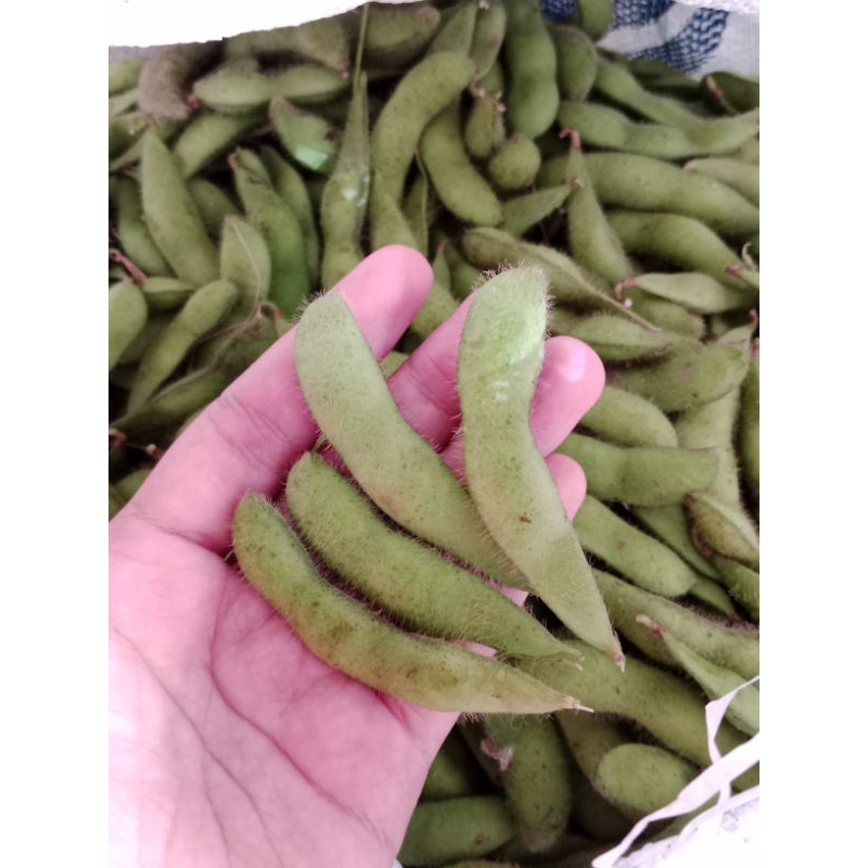 

Edamame Fresh "Grade Super