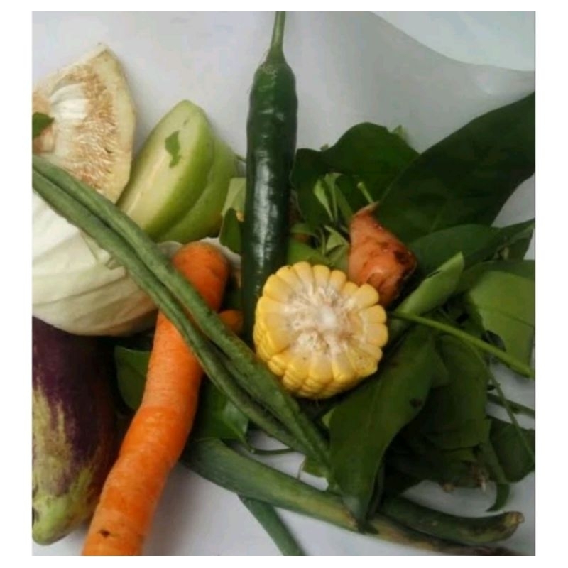 

SAYUR LODEH PAKET ISI BANYAK / JAMIN SEGAR