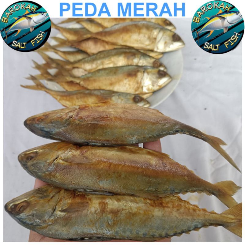 

Ikan Asin Berkualitas Super Murah Serba 10.000