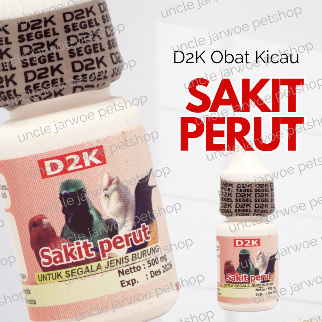 SAKIT PERUT D2K OBAT BURUNG SAKIT GANGGUAN PENCERNAAN KOLERA LESU SESAK NAFAS