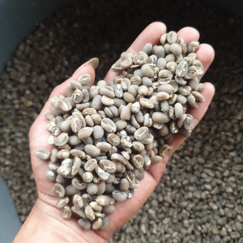 

Green bean kopi arabika gayo