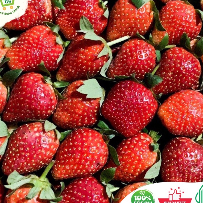 

Dijamin Ori STRAWBERRY 1 KG BUAH STRAWBERRY STRAWBERRY FRESH KHUSUS SAMEDAY DAN INSTAN