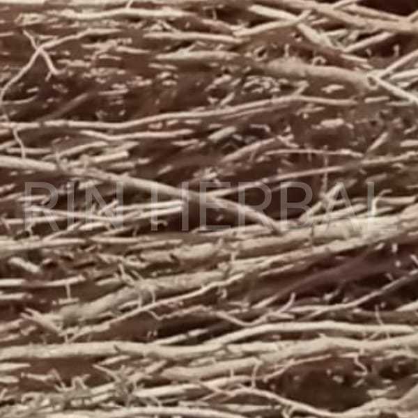 

Jual Akar Bambu Kuning Segar 300 gram Akar Fresh